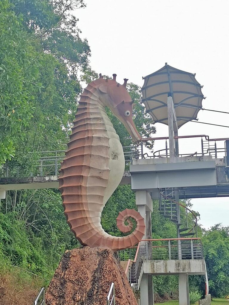 One of the seahorses at Taman Awam