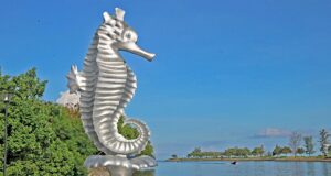 The seahorse at Miri Waterfront