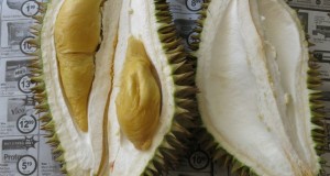 The other durian